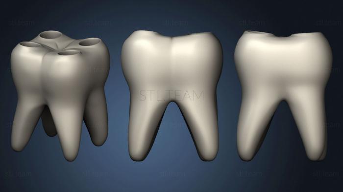 3D model Zub (STL)